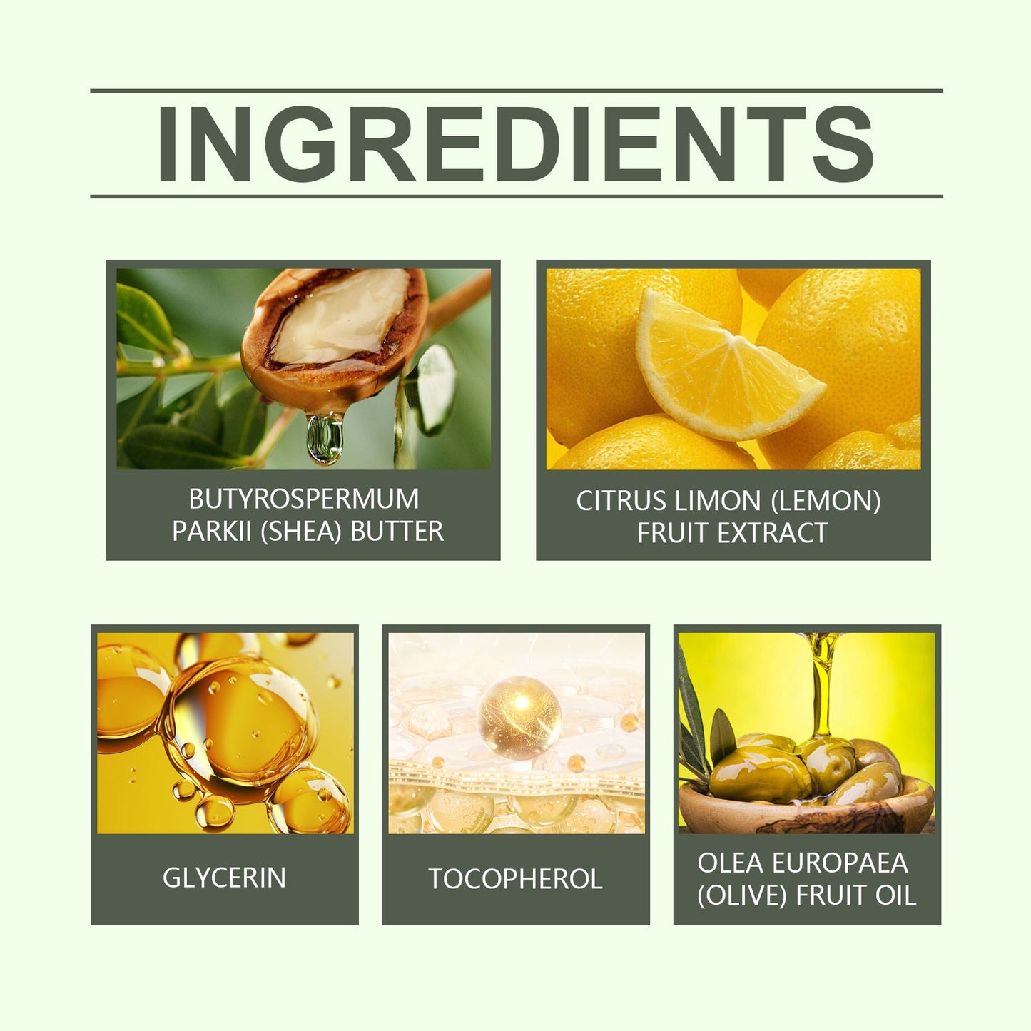 Shea Butter Daily Moisturizing Care Body Moisturizing Skin Moisturizing Body Care Cream - Korvel