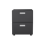 Office furniture Copier Cabinet black 2 door steel copier stand mobile pedestal file Printer Stand - Korvel