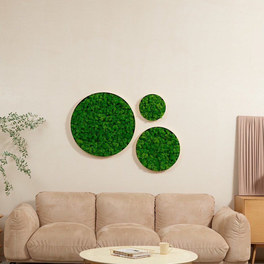 Round Framed Moss Wall Decor, only the Large - Korvel