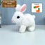 2025 Upgraded Interactive Bunny Toy. Hops, walks, talks, shakes ears. Plush Gift for Kids (Grey). - Korvel