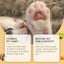 Pet Paw Care Stick for Moisturizing and Softening Paws to Prevent Dryness and Cracking - Korvel