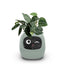 USB Auto Absorbent Planter Brand New PP Resin Plastic Round Eco-friendly Interactive - Korvel