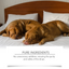 Premium Dog Sleep Drops for Restful Nights