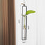 Jarrón Hidropónico de Vidrio Estilo Escandinavo para Decoración Creativa