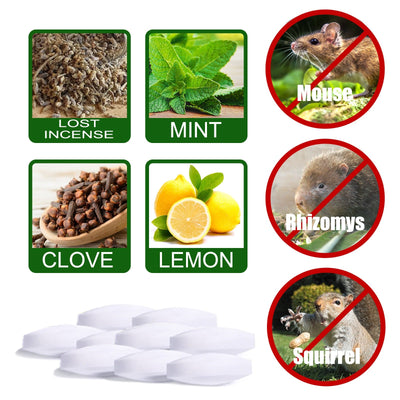 Premium Mouse Repellent for Effective Rodent Control