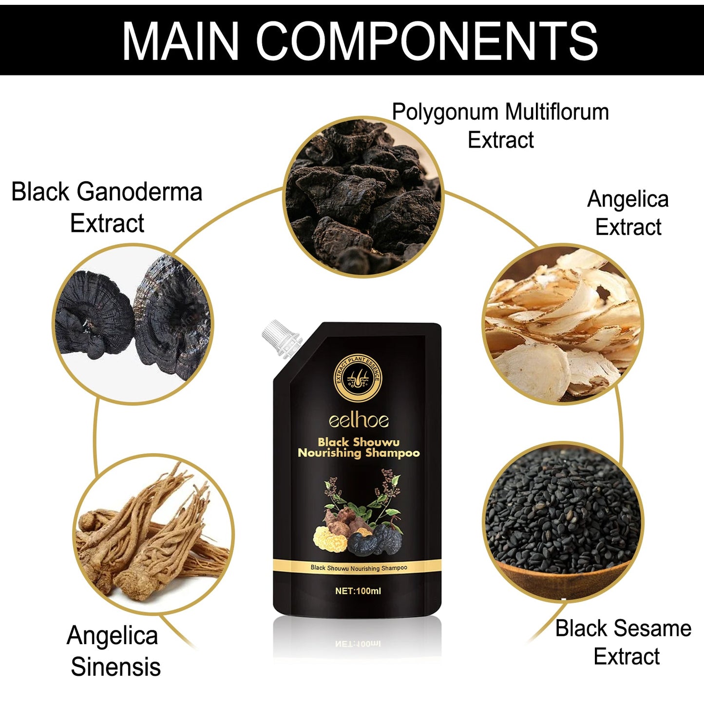 Champú de Ganoderma Multiflorum Negro para el Cuidado del Cabello Lujo