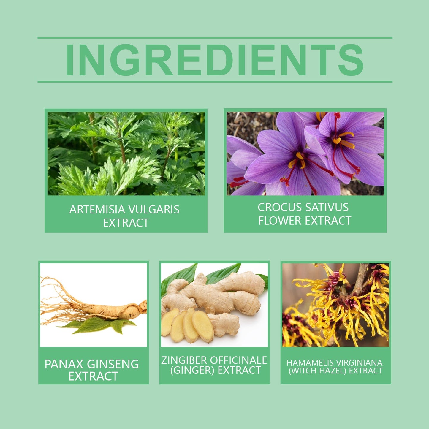 Parche Herbal para el Cuidado de las Articulaciones para un Alivio Suave