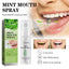 Breath Fresher, Retain Fragrance Remove Odor Portable Minty Breath Freshening Spray - Korvel