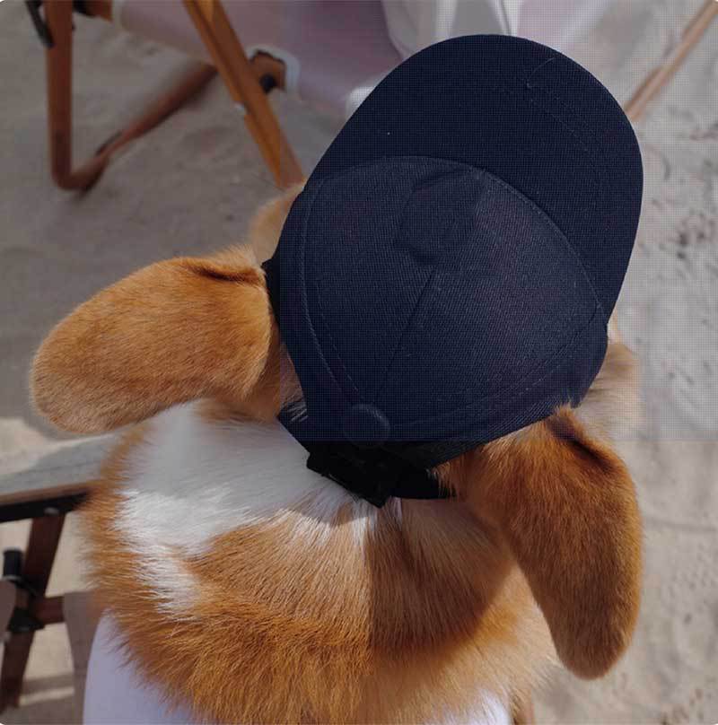 Pet Dog Outdoor Photography Leisure Sunshade Hat with Ear Holes Adjustable Corgi Baseball Cap - Korvel
