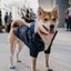Premium Windproof British Retro Dog Raincoat