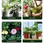 Insecticida en Spray Premium para Flores de Interior