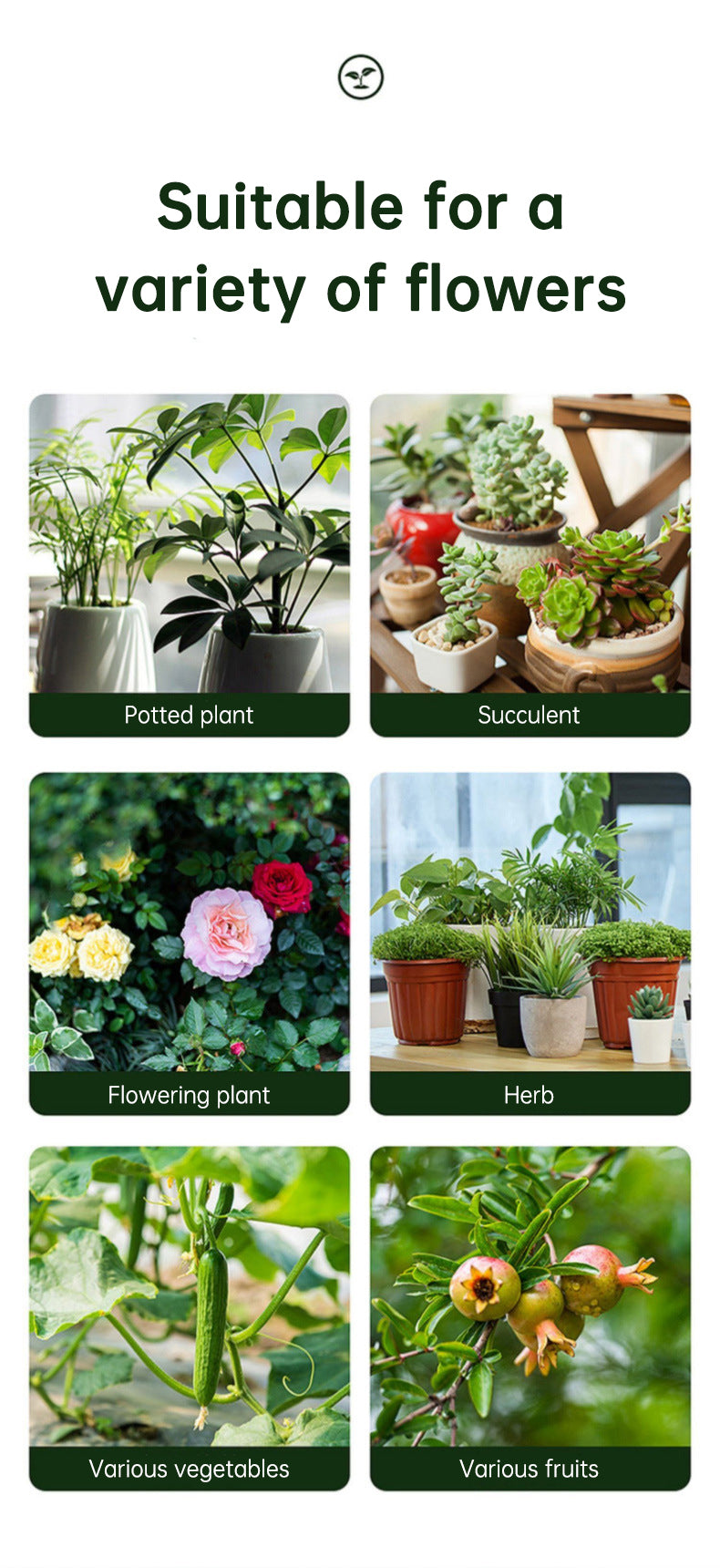 Insecticida en Spray Premium para Flores de Interior