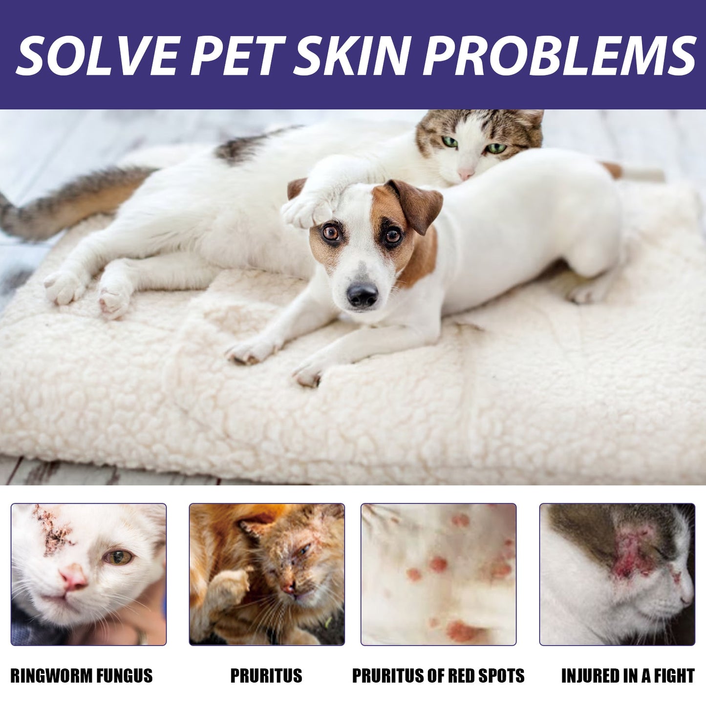 Spray de soins pour animaux de compagnie premium pour l'entretien de la peau et du pelage