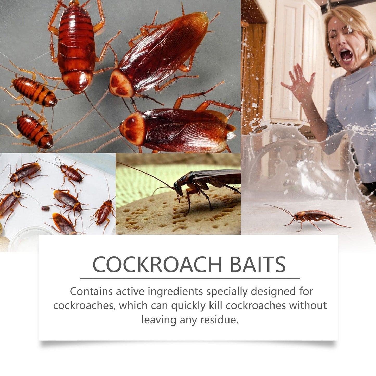 Premium Cockroach Bait for Effective Pest Control
