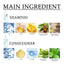 Shampoo And Conditioner Set - Korvel