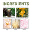 Bergamot Cedarwood Eaux de Parfum - Fresh Wood Scent