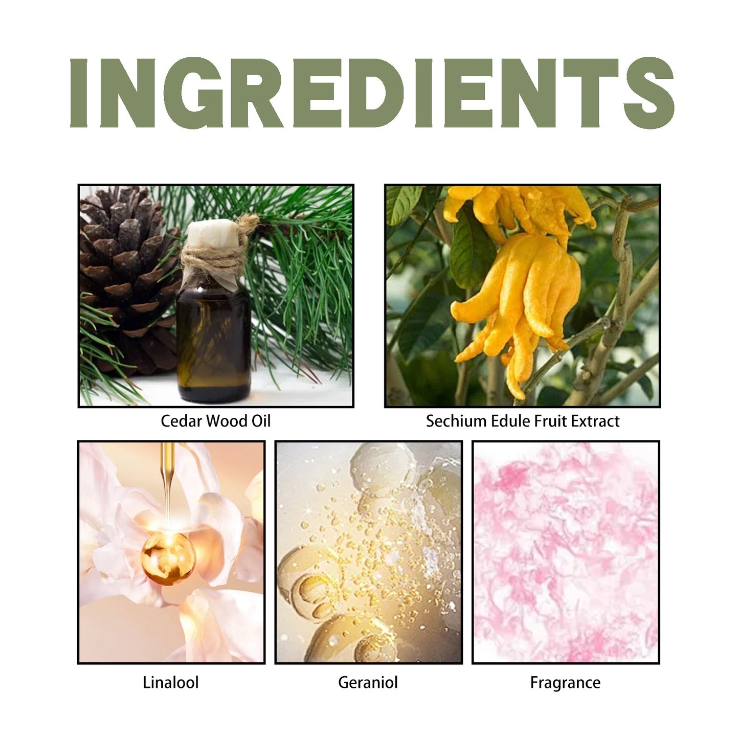 Bergamot Cedarwood Eaux de Parfum - Fresh Wood Scent
