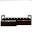 Espresso Twin Size Platform Bed with Two Drawers
