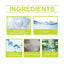 Premium Plant Growth Solution for Vibrant Greenery