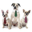 New British style handsome Christmas dog collar Christmas pet tie - Korvel