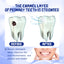 Dentifrice Premium Anti-Caries pour Soin Oral