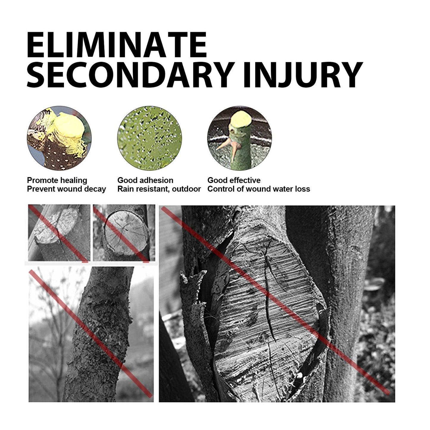 Tree Wound Dressing for Fruit Trees and Shrubs