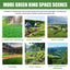 Plant Nutrient, Plant Fertilizer Flower Potted Lawn Green Leaf Root Growth Nutrient - Korvel
