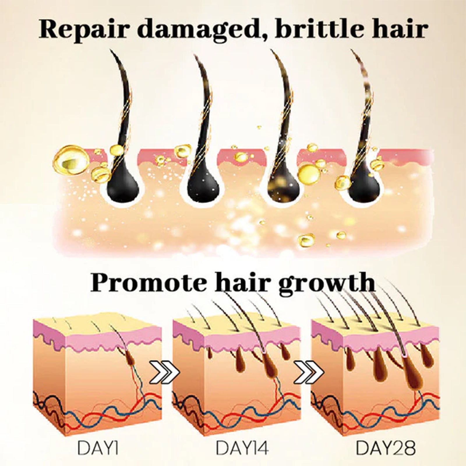 Ginseng Massage Essence, Moisturizes Scalp Strengthens Hair Prevents Loss Hair Care Essence - Korvel