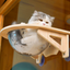 Solid Wood Cat Nest with Suction Cup Climbing Frame