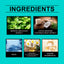 Coconut Mint Mouthwash for Fresh Breath and Clean Teeth
