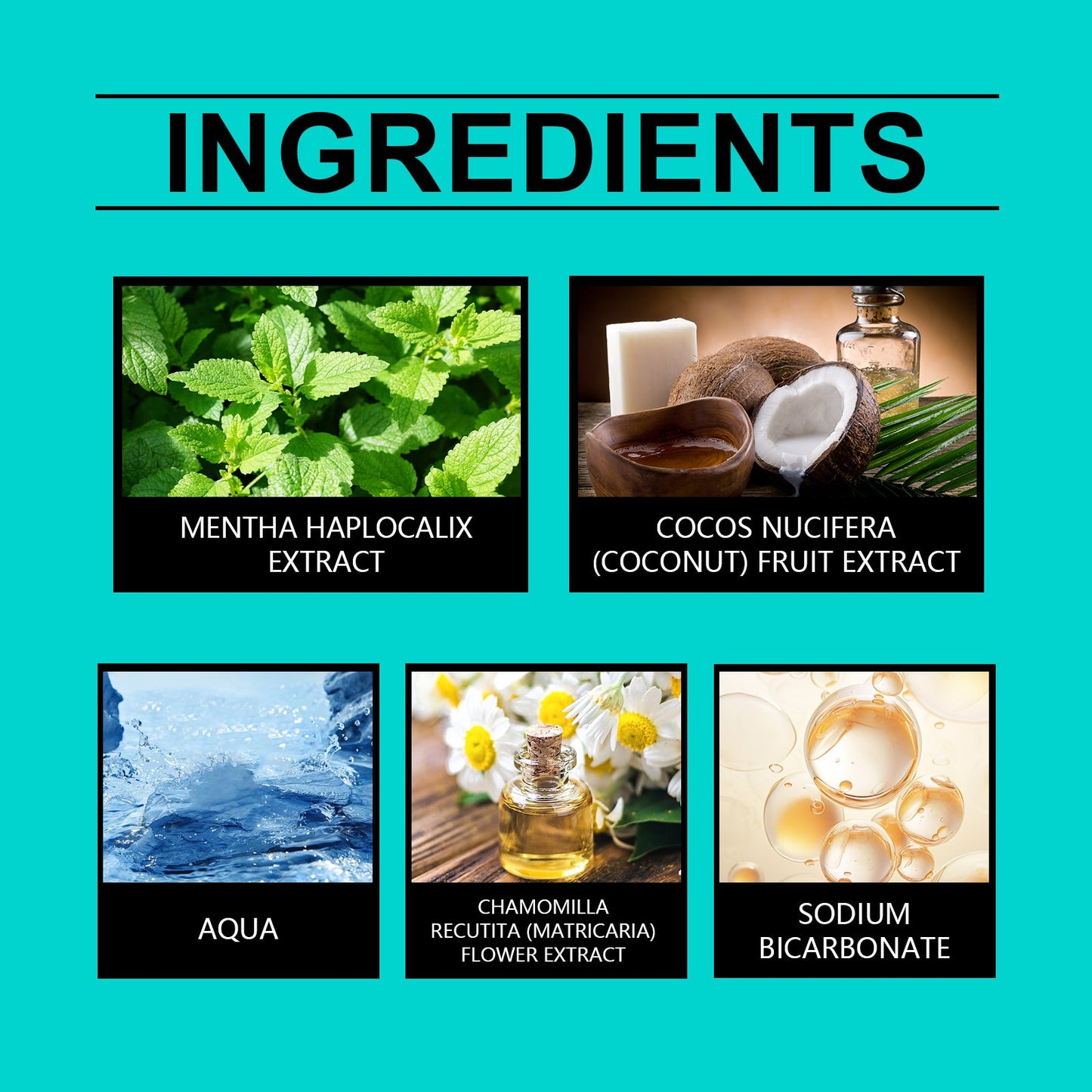 Coconut Mint Mouthwash for Fresh Breath and Clean Teeth