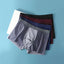 Premium Cool Knitted Fabric Mesh Boxer Shorts for Men