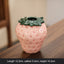 Strawberry ceramic vase, flower arrangement, living room home decoration ornament, hydroponic flower pot, high-end and high aest - Korvel