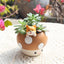 Horticultural Cartoon Creative Fun Mushroom Resin Flower Pot Container Desktop Landscape Potted Flower Utensils - Korvel