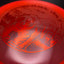 VIP Bear - First Run Disc Golf Driver