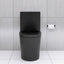 Matte Black Elongated One Piece Toilet Dual Flush 1.1/1.6 GPF Water Saving Map 1000g,Matte Black - Korvel