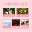 Rose Elegant Roll-On Perfume Women's Wrist Long-Lasting Light Fragrance Fresh Floral Roses Keep Perfume Perfume - Korvel