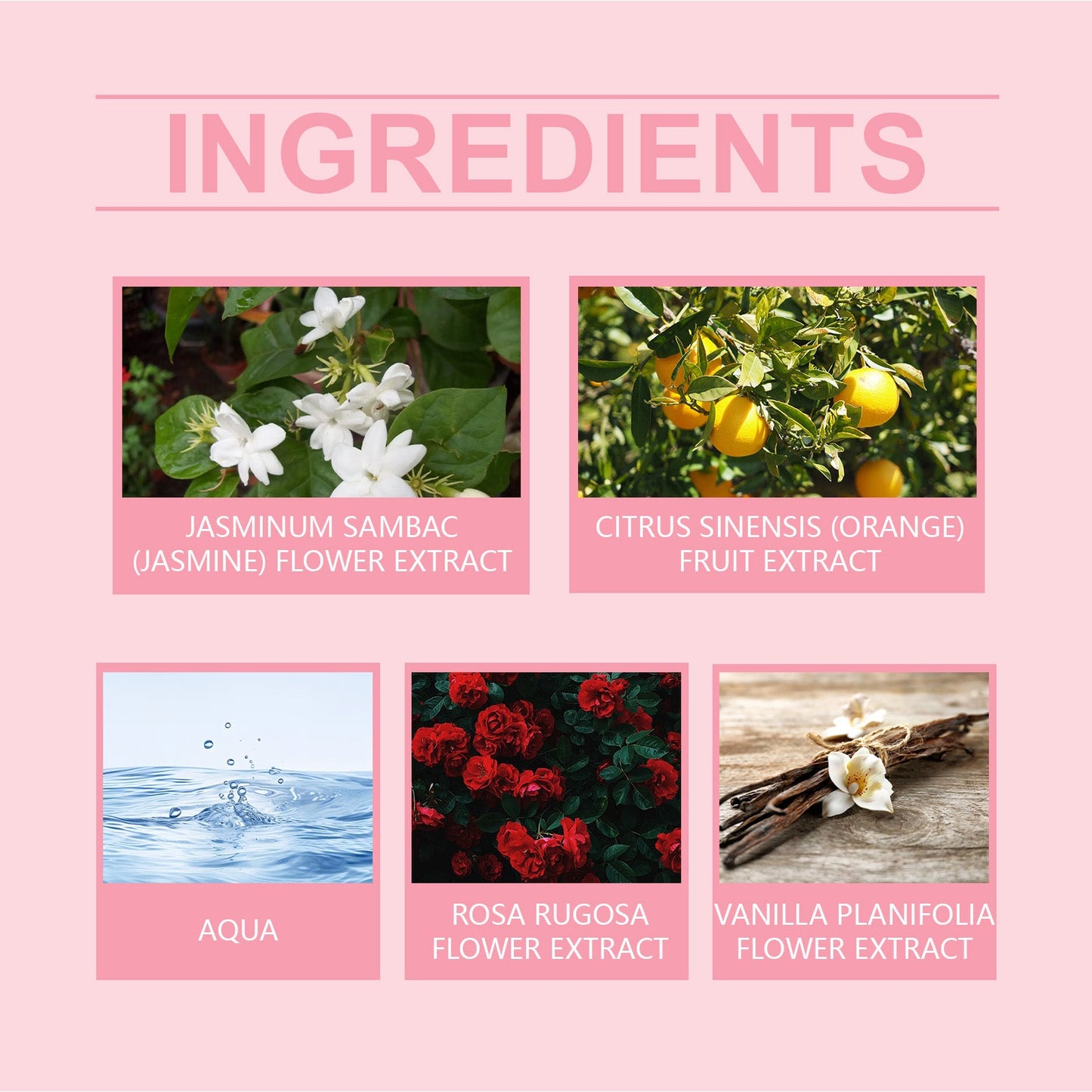 Rose Elegant Roll-On Perfume Women's Wrist Long-Lasting Light Fragrance Fresh Floral Roses Keep Perfume Perfume - Korvel