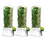 Vanilla vegetable fresh-keeping box pressure resistant fresh-keeping device creative fresh-keeping cup - Korvel