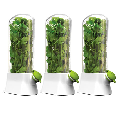 Vanilla vegetable fresh-keeping box pressure resistant fresh-keeping device creative fresh-keeping cup - Korvel