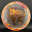 Jawbreaker Z FLX Predator - Édition Chris Dickerson