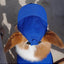 Pet Dog Outdoor Photography Leisure Sunshade Hat with Ear Holes Adjustable Corgi Baseball Cap - Korvel