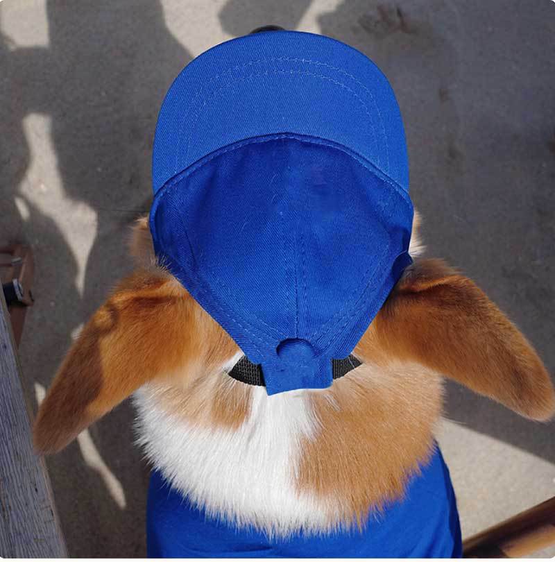 Pet Dog Outdoor Photography Leisure Sunshade Hat with Ear Holes Adjustable Corgi Baseball Cap - Korvel