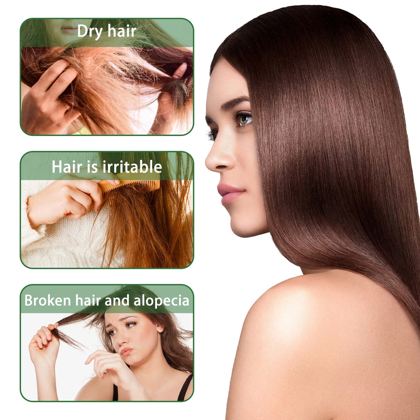 Rosemary Shampoo, Prevents Hair Loss Oil Control Fluffy And Smooth Shampoo - Korvel
