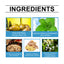 Herbal Care Patch for Daily Comfort and Relaxation