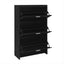U-Can Shoe Storage Cabinet for Entryway with 3 Flip Drawers, Modern Shoe Organizer Cabinet, Free Standing Shoe Rack Black - Korvel