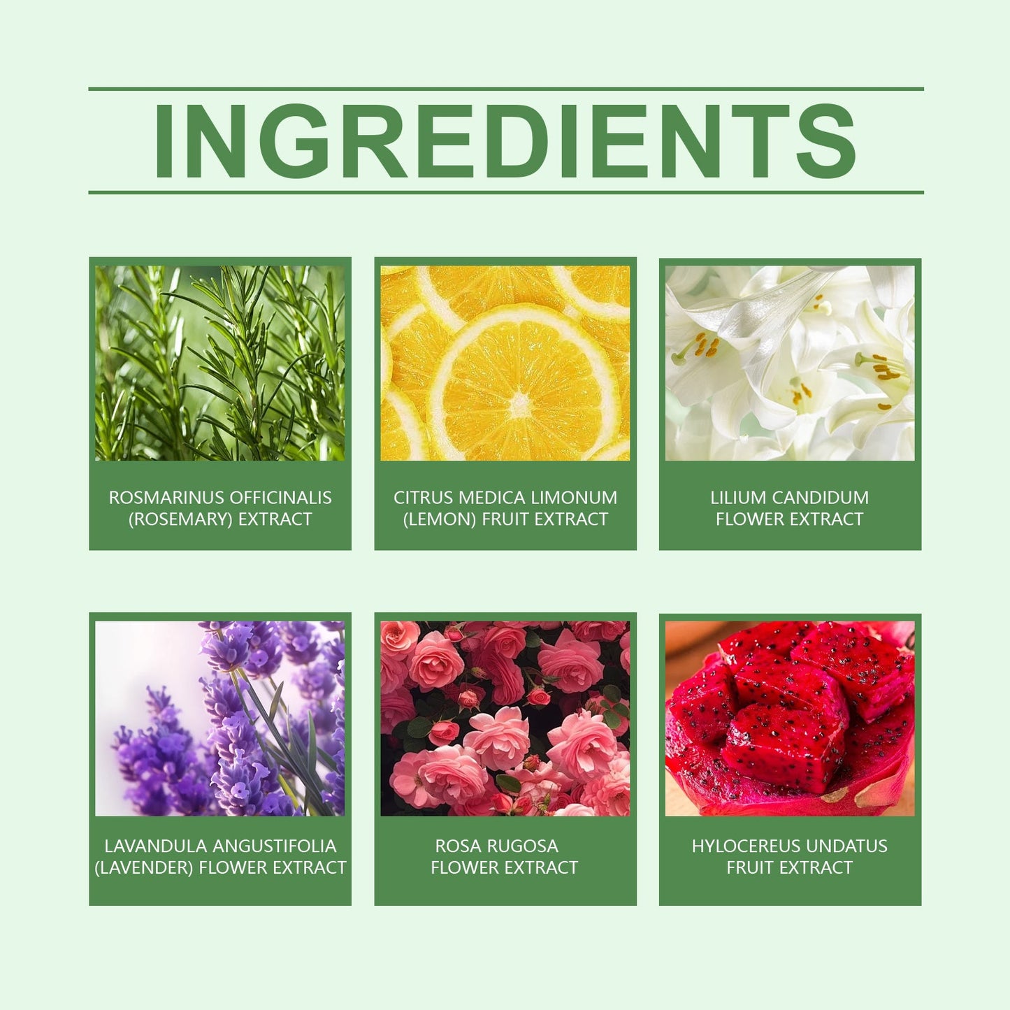 Bola de Ducha Fragante - Aditivo de Baño con Aroma a Plantas