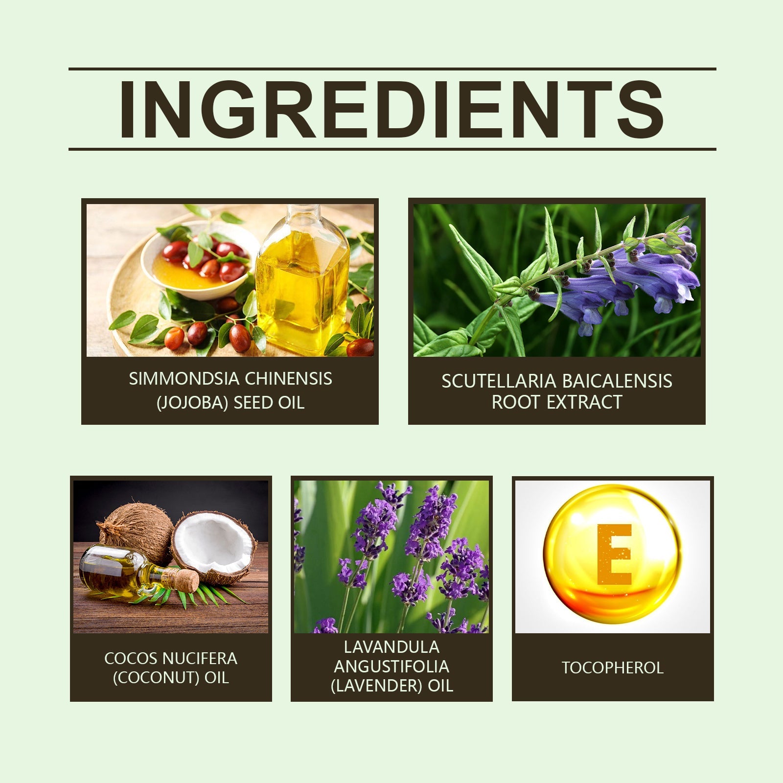 Scutellaria Sleep Essential Oil Eases Sleep, Relaxes And Comforts Portable Skin And Body Care Essential Oil - Korvel