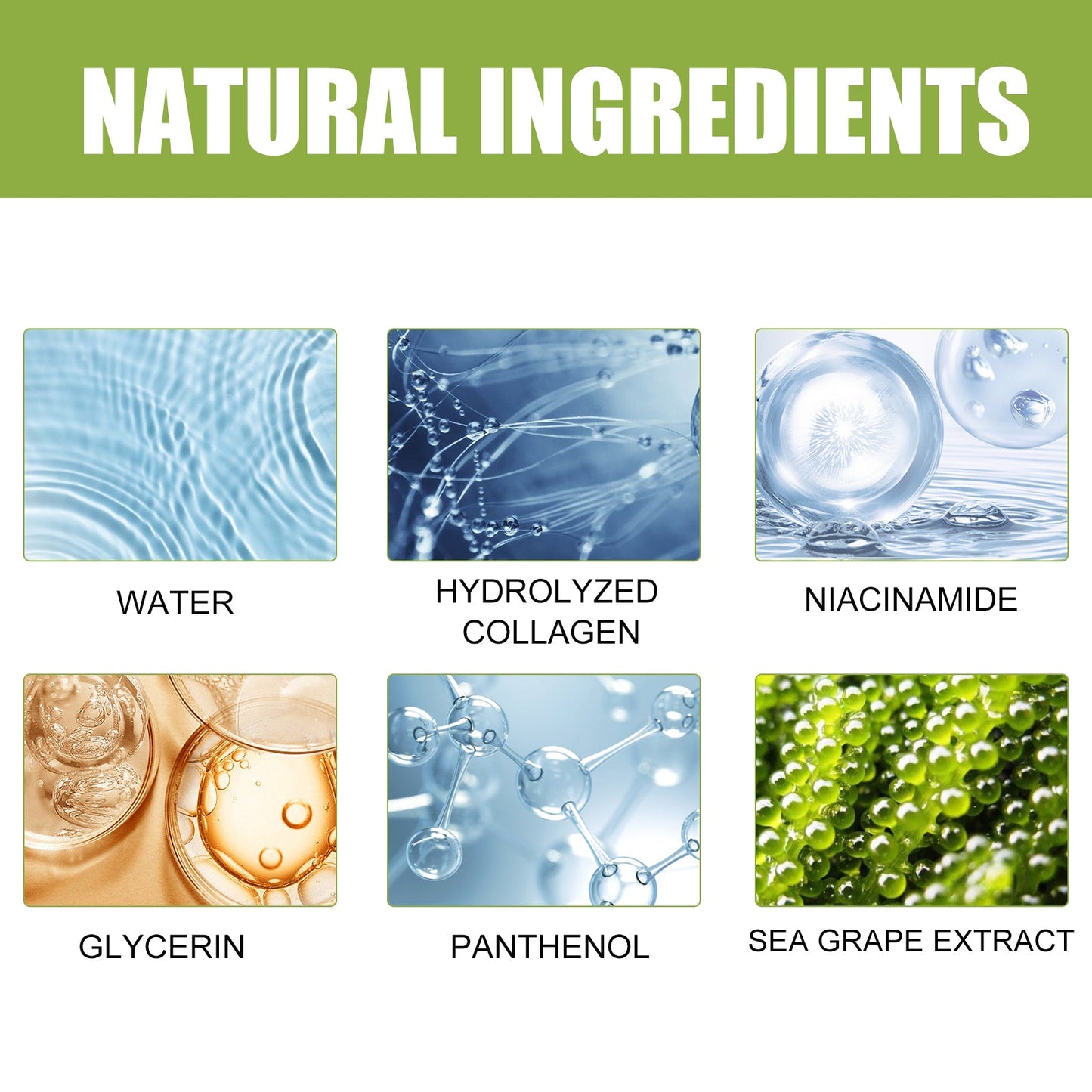 Essence Multi-Peau de Raisin de Mer pour une Peau Radieuse