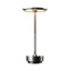 Japanese Metal Desk Lamp - Rechargeable & Retro Design